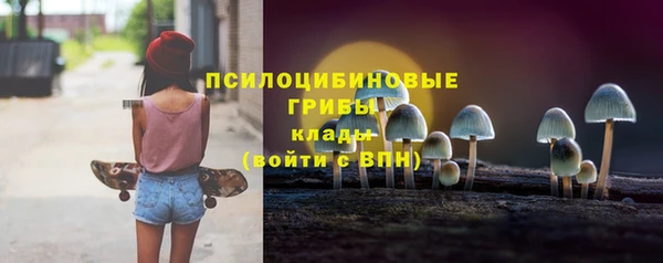 альфа пвп Снежногорск